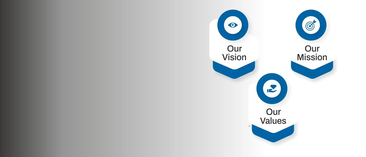 Mission Vision Values
